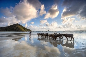 5 Alasan Mengapa Harus Ke Mandalika Lombok